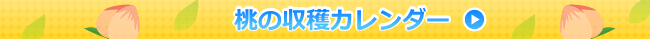 ���μ��ϥ�������