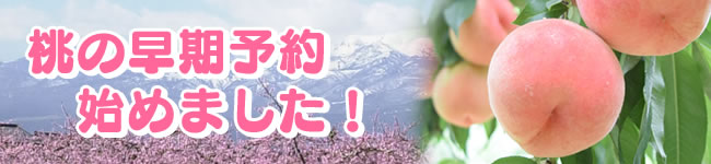 桃の早期予約始めました!